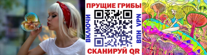 Галлюциногенные грибы MAGIC MUSHROOMS  Старая Купавна 