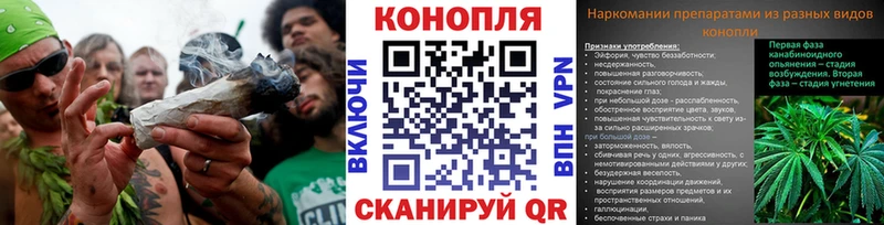 МЕГА маркетплейс  Старая Купавна  Бошки марихуана сатива 